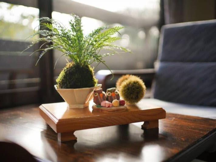 Ryokan Misato Minamioguni Exteriör bild